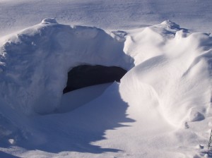 New snow drift over snow fort door